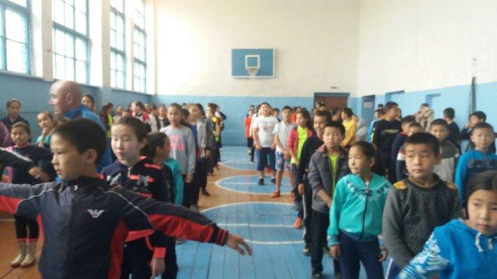 Денсаулық фестивалі