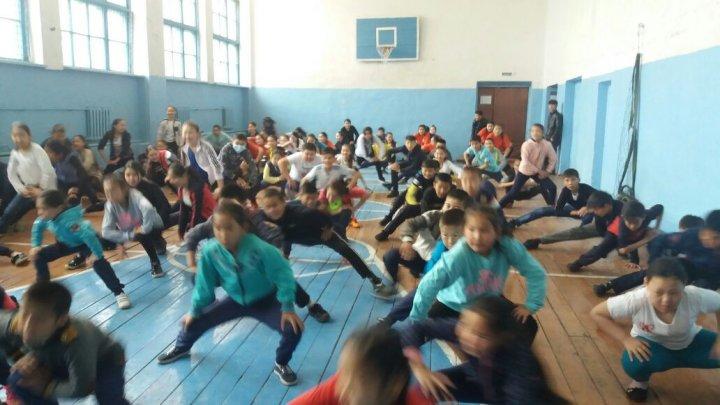 Денсаулық фестивалі