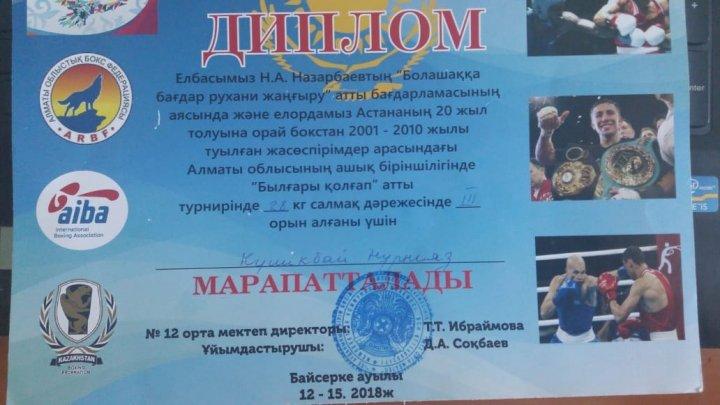 Былғары қолғап жеңімпазы