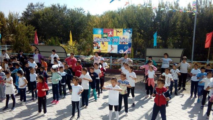 Денсаулық фестивалі