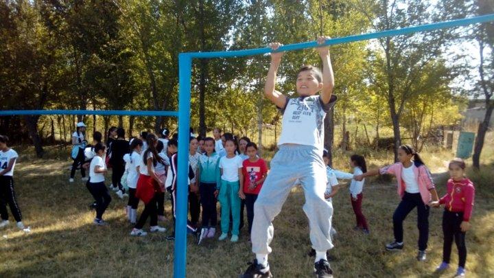 Денсаулық фестивалі