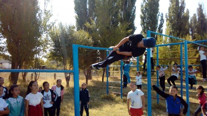 Денсаулық фестивалі